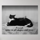 Search for vintage cat pictures posters Feline