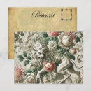Search for gothic designs postcards Vintage