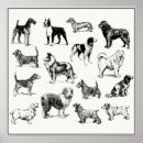Search for vintage veterinary posters Retro