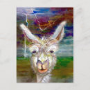 Search for alpaca postcards Colourful