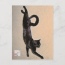 Search for black tailed postcards Photography