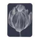Search for tulips rectangular magnets Botanical