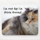 Search for fat electronics Cats