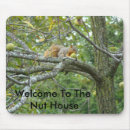 Search for walnut mousepads Nature