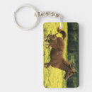Search for mare key rings Colt