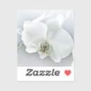 Search for beautiful orchid stickers Elegant