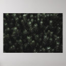 Search for pine needle art Forest