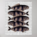 Search for antique fish print posters Flowers