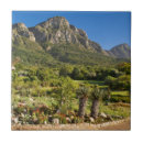 Search for clear sky tiles Gallo images