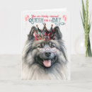 Search for keeshond cards Pets