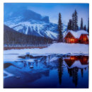Search for log tiles Nature