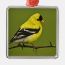 Search for adams christmas tree decorations Male