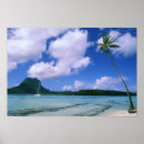 Search for polynesia posters People