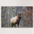 Search for rifle puzzles Hunting