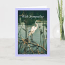 Search for shore bird Nature