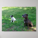 Search for attentive art Dog