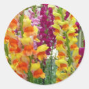 Search for snapdragon stickers Nature