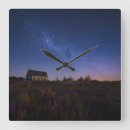 Search for new zealand clocks Stars