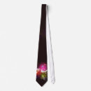 Search for vector butterfly accessories Colourful