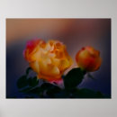 Search for spring pink posters Rose