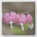Search for bleeding hearts barware Floral