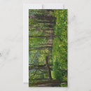 Search for forest cards Wilderness