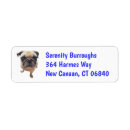 Search for pugs return address labels Pug mum