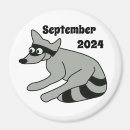 Search for racoon magnets Stripes