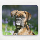 Search for brindle mousepads Headshot