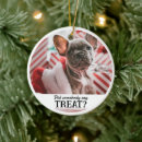 Search for or treat christmas tree decorations funny