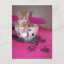 Search for tea cups postcards Kitten