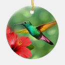 Search for hummingbird christmas tree decorations Elegant