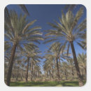 Search for sahara stickers Mediterranean coast