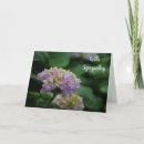 Search for hydrangea flowers cards Garden