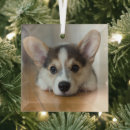 Search for pembroke welsh corgi christmas tree decorations Queen elizabeth's