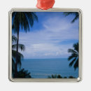 Search for natural christmas tree decorations World