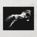 Search for jumper postcards Horse