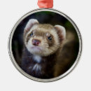 Search for ferret christmas tree decorations Animal