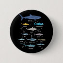 Search for species badges Marine life