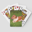 Search for funny photography games Pet