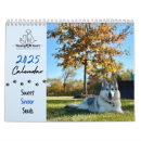Search for human calendars Cat