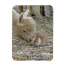 Search for easter cards Cute