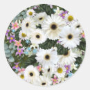 Search for swags stickers Floral