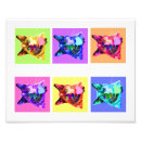 Search for rainbow cat posters Felines