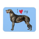 Search for wolfhound magnets Dog