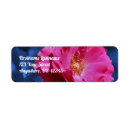 Search for blue roses return address labels Pink