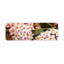 Search for environment return address labels Flowers