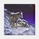 Search for grey wolves magnets Wild animals