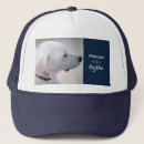 Search for profile accessories Blue