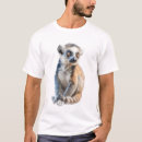 Search for lemur clothing Cute animal
